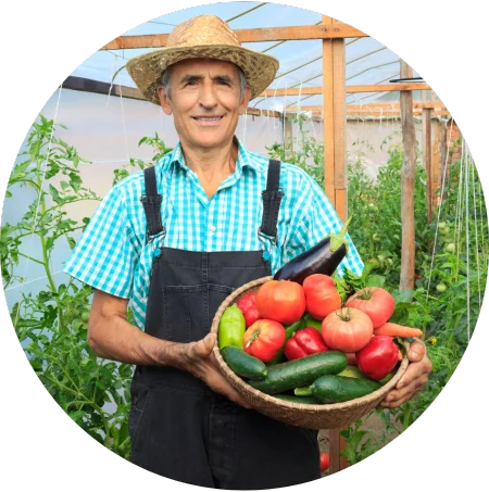 PS_Lesson1 Person holding a fresh vegetable harvest