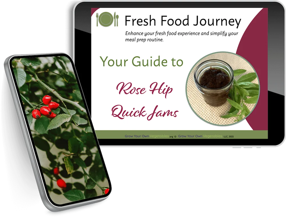 Quick Jam iPad 3D Image - Fresh Food Journey