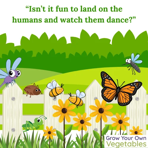 05.24.2024(1) Cartoon garden with beneficial insects "Isn't it fun to land on the humans and watch them dance?"