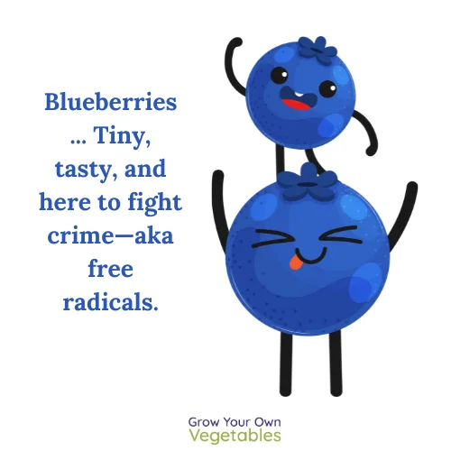 Cartoon Blueberries "Blueberries - tiny, tasty, and here to fight crime - aka free radicals"