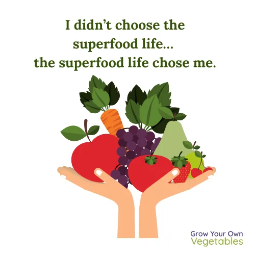 Cartoon hands holding fruits "I didn't choose the superfood life, the superfood life chose me"