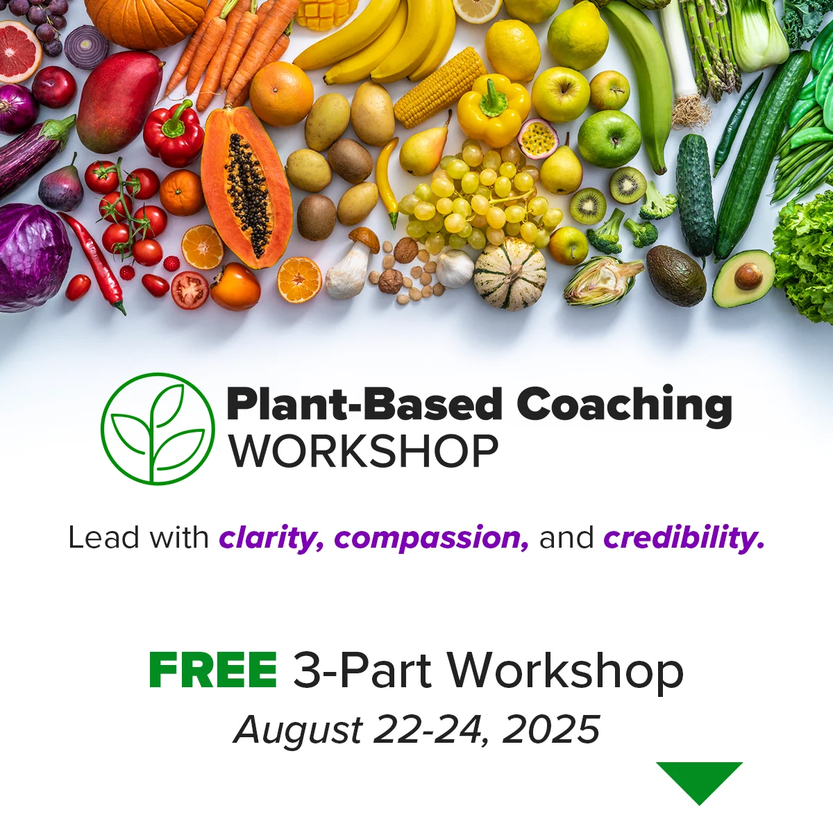 Somatic Healing Summit