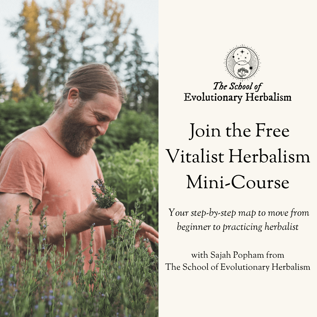 Enjoy Your Harvest: 3 Day Workshop Series (cornucopia of veggies in the background)