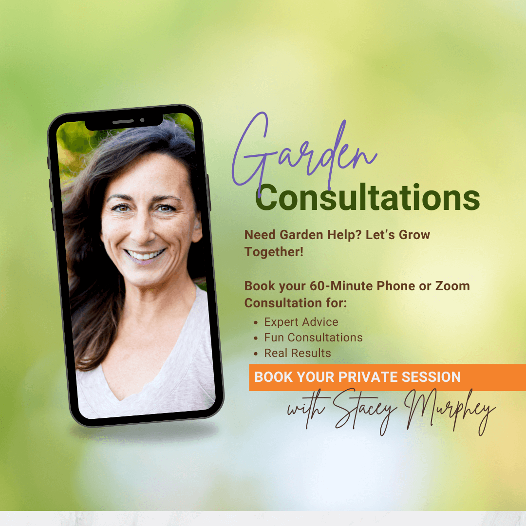 Somatic Healing Summit