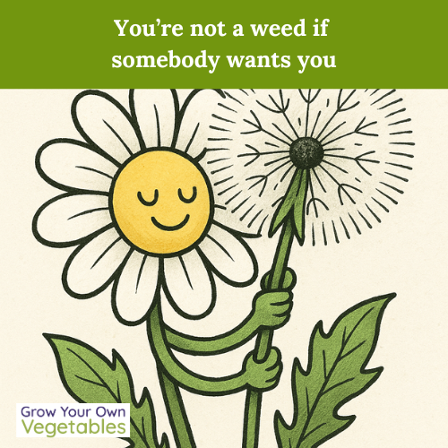 "We have rainy days so gardeners can get other projects done!"