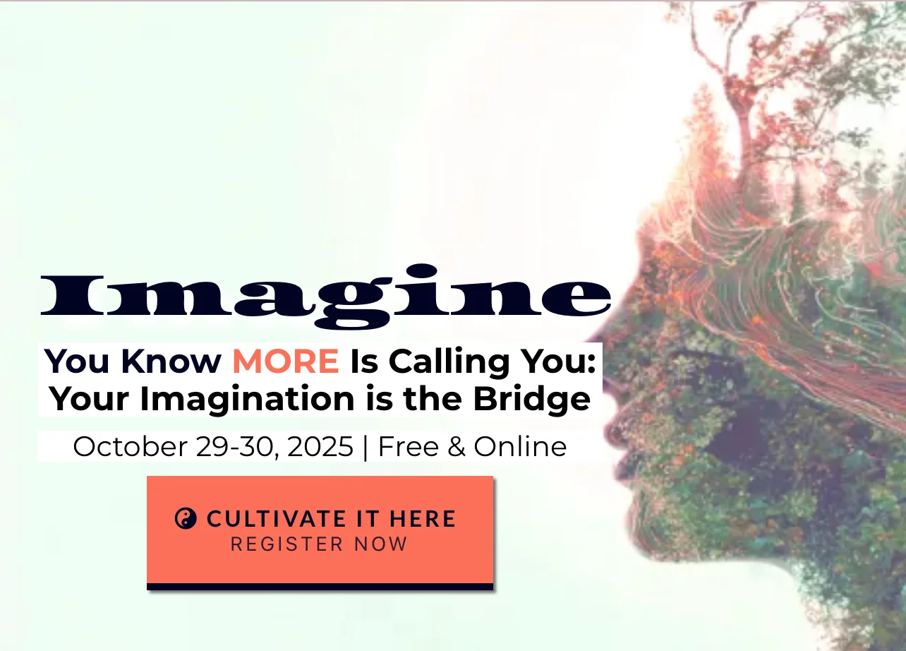 Imagine 2025 Ari Whitten