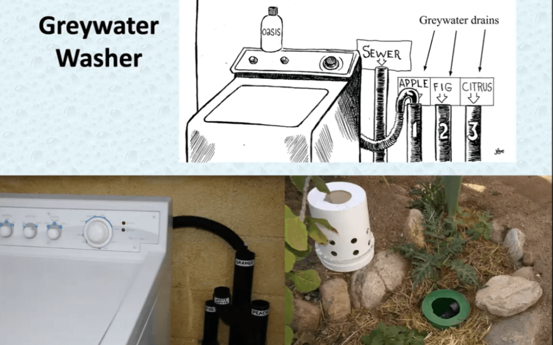 Smart Water Harvesting: Simple Ways to Capture Every Drop in Your Garden with Greg Peterson