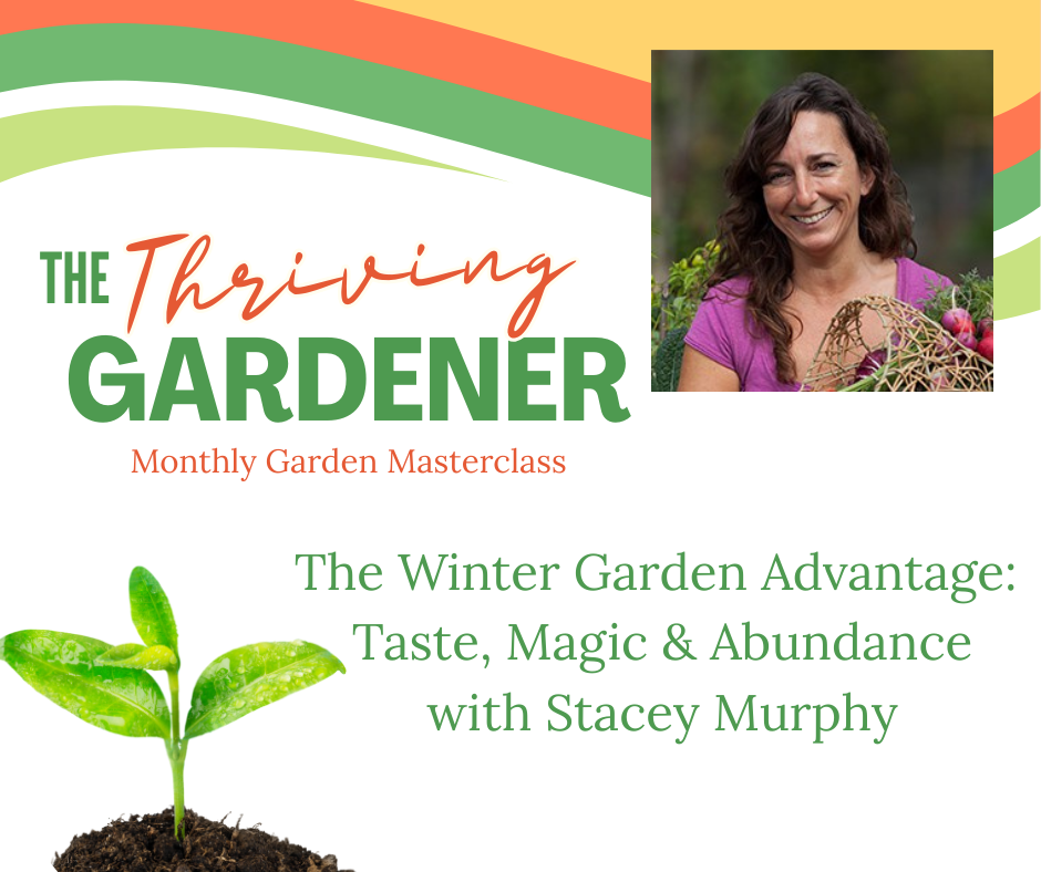 Image of preserved foods on a table with text: FREE Masterclass: 3 STrategies to Preserving and SToring the Harvest