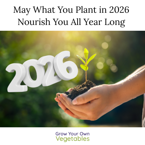 May What You Plant in 2026 Nourish You All Year Long
