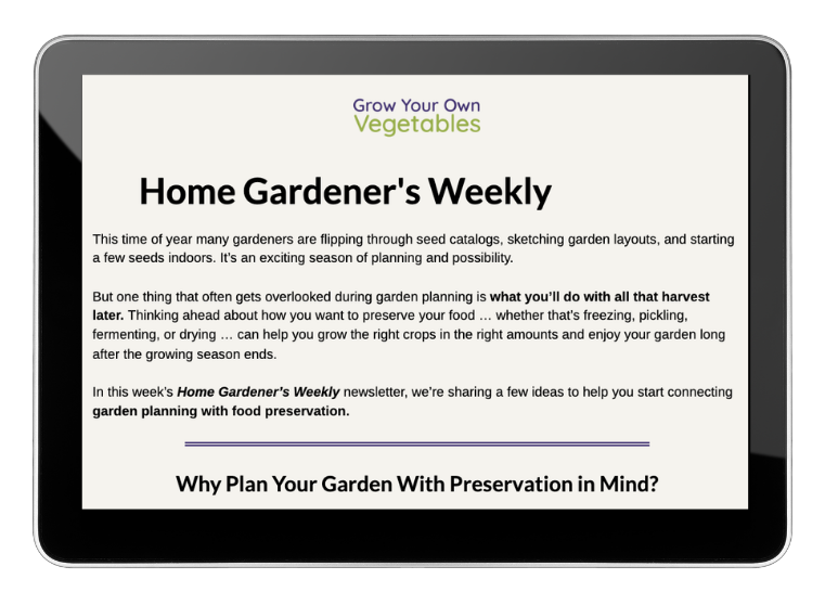 Newsletter Ipad 3.20.26 11.1.24