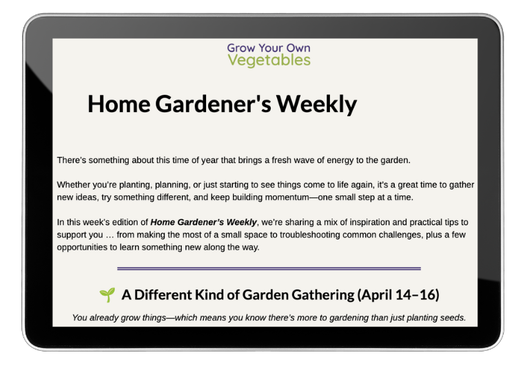 Newsletter 4.3.26. 4.3.26