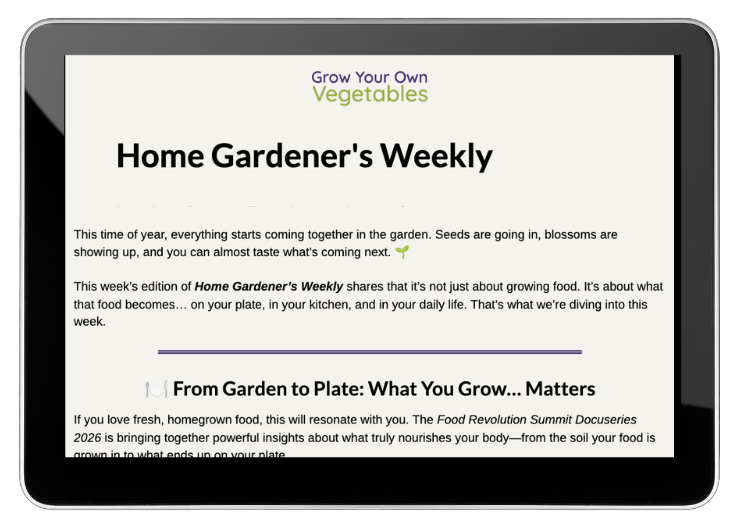 Newsletter Ipd 5.1.26 5.1.26