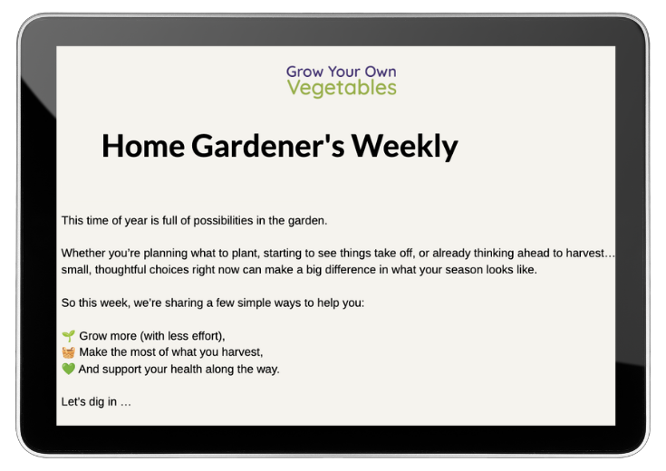 Newsletter4.24.26. 4.24.26