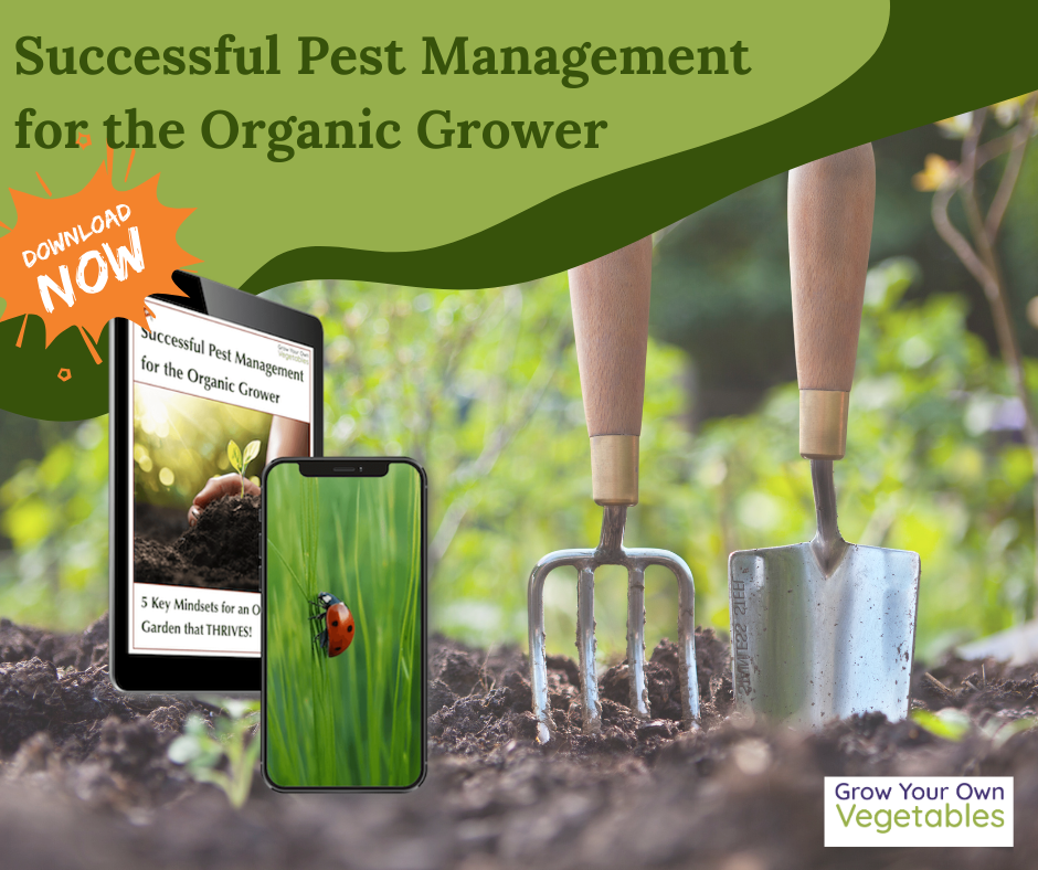 Successful Pest Management for the Organic Grower