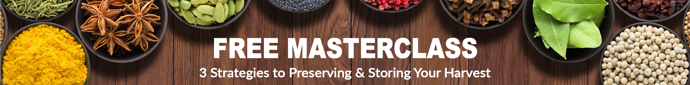 Masterclass Banner 2 Masterclass Banner