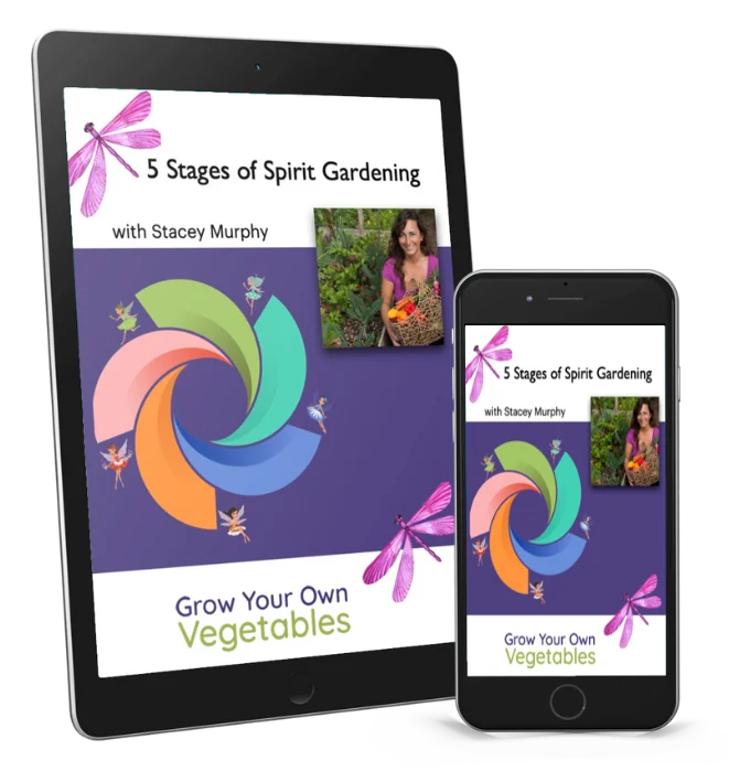 SGC_Download_2023 Free Masterclass