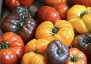 Tomatoes