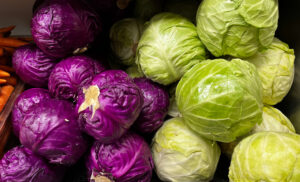 Purple and Green Cabbage