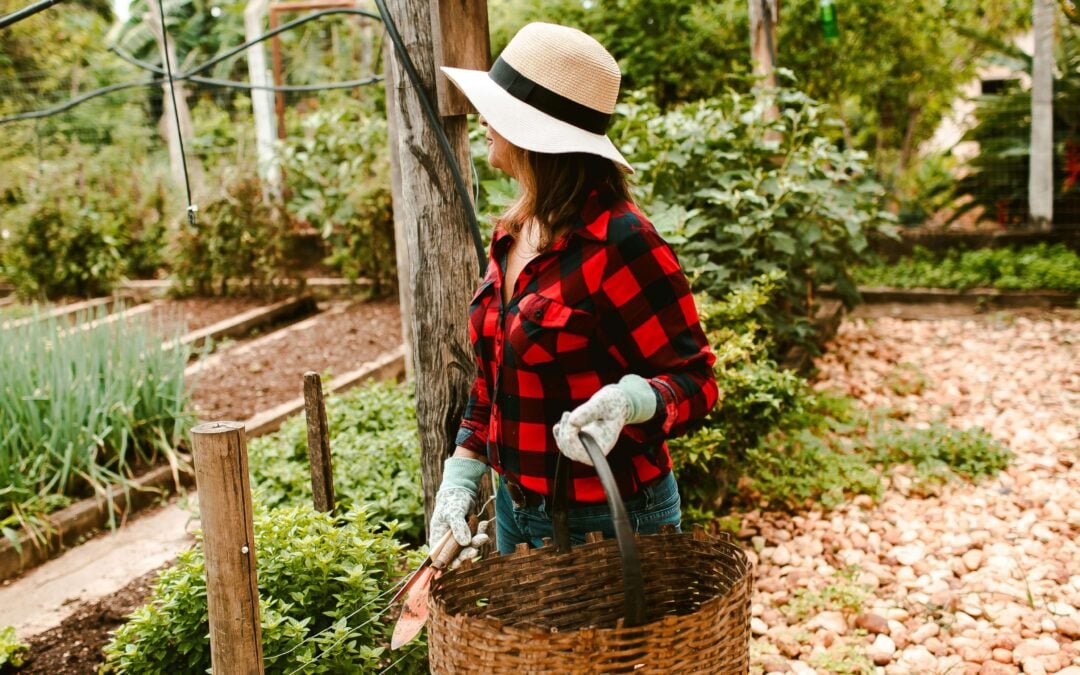gardener looking at her garden